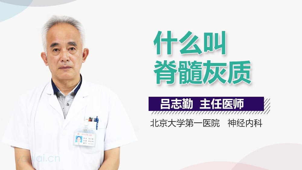 什么叫脊髓灰质