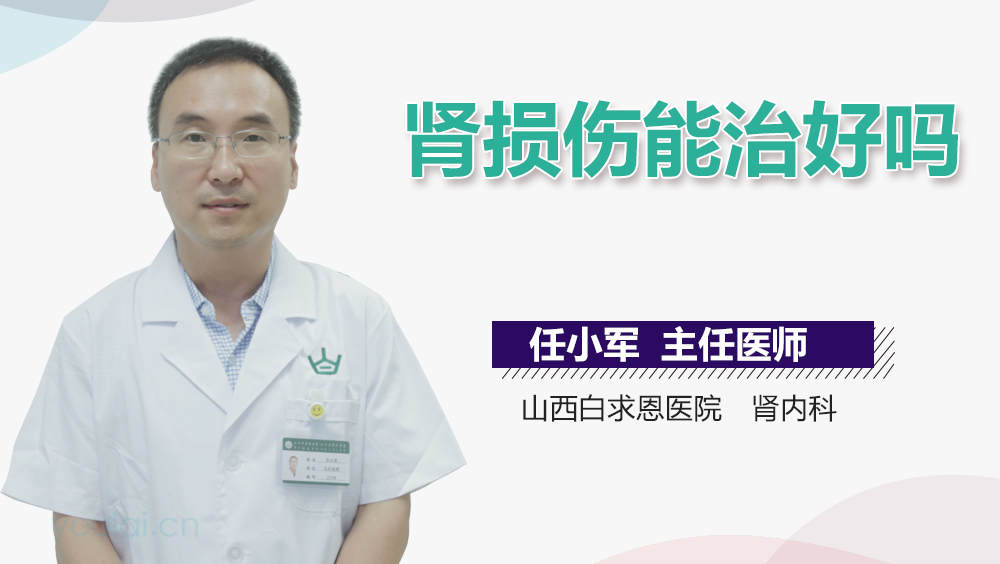 肾损伤能治好吗