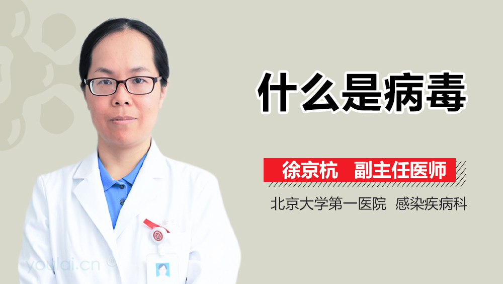 什么是病毒