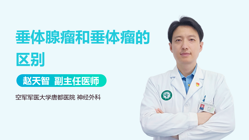 垂体腺瘤和垂体瘤的区别