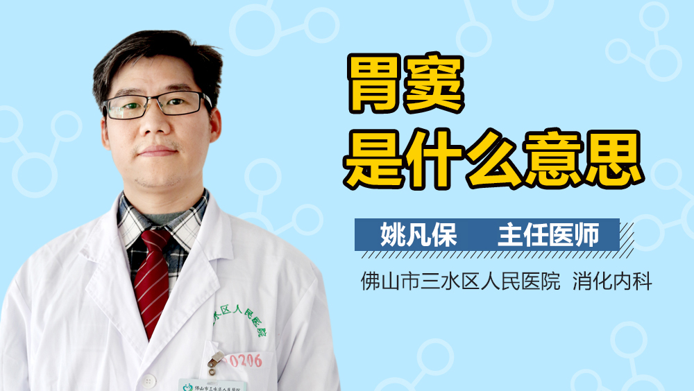 胃窦是什么意思