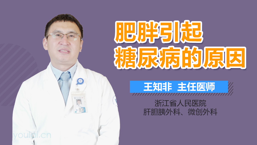 肥胖引起糖尿病的原因