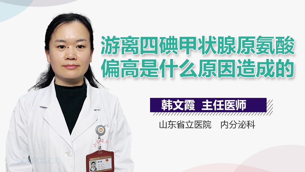 游离四碘甲状腺原氨酸偏高是什么原因造成的