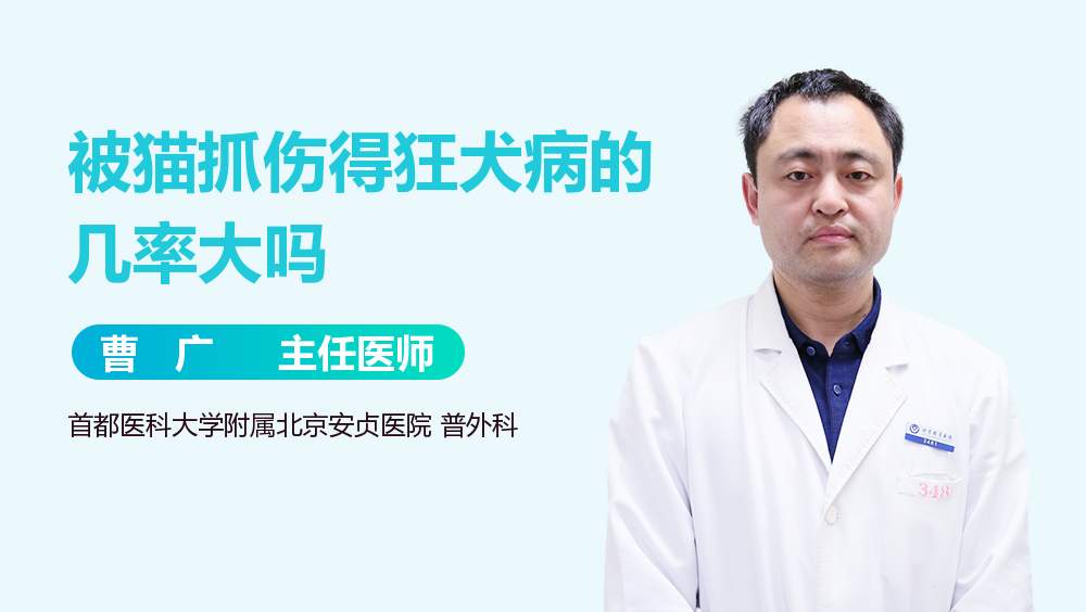 被猫抓伤得狂犬病的几率大吗